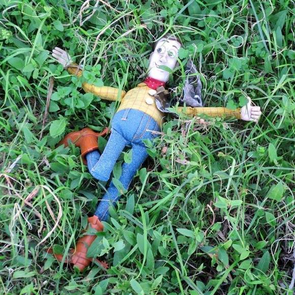 Meet your Posher, Ann - Picture 1 of 1